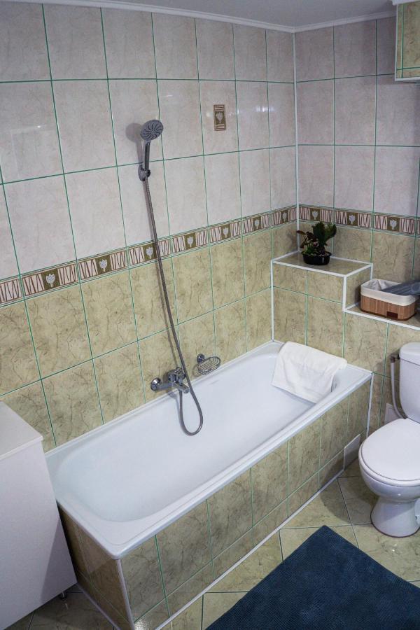 Apartament Milcov グラ・フモアルルイ エクステリア 写真